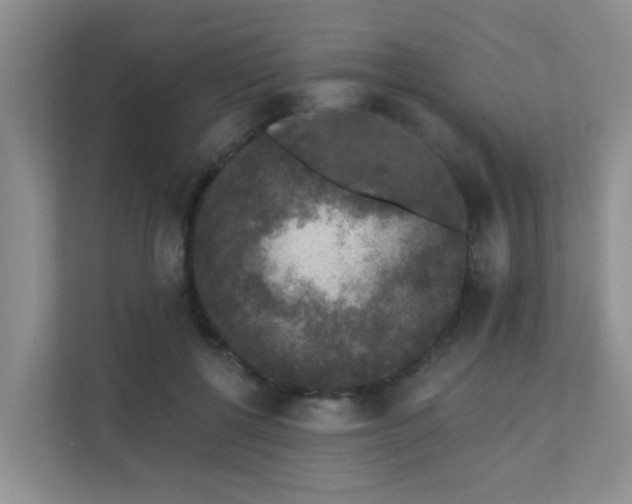 X0000111620552200907171246