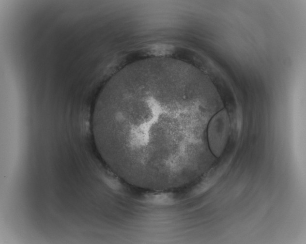 X0000111620553200907171246