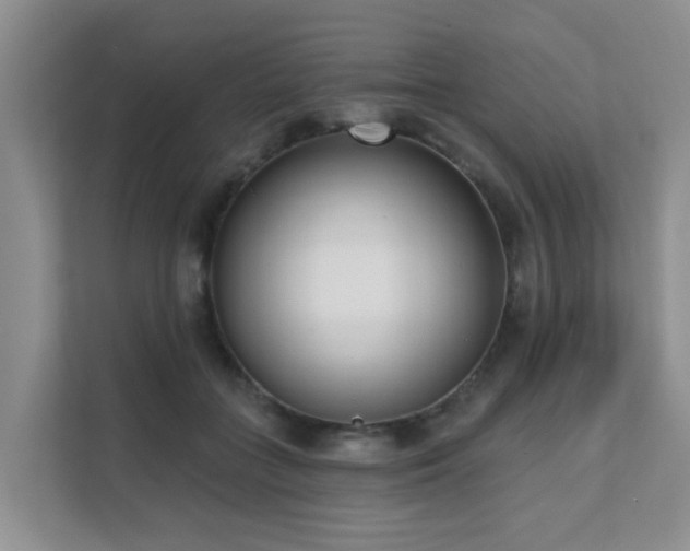X0000111620555200907171246