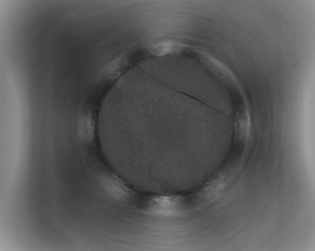 X0000111620558200907171246