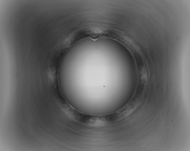 X0000111620559200907171246