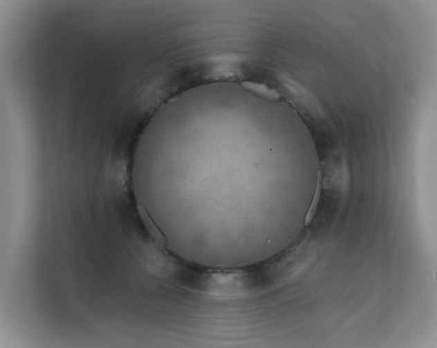 X0000111620560200907171246