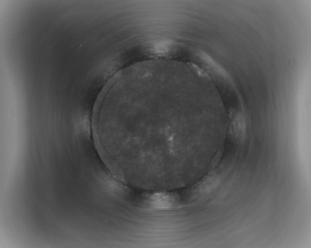 X0000111620562200907171246
