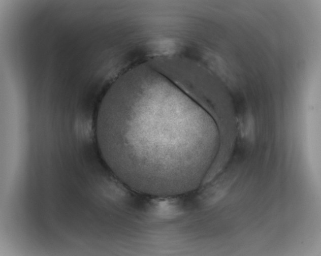 X0000111620564200907171246