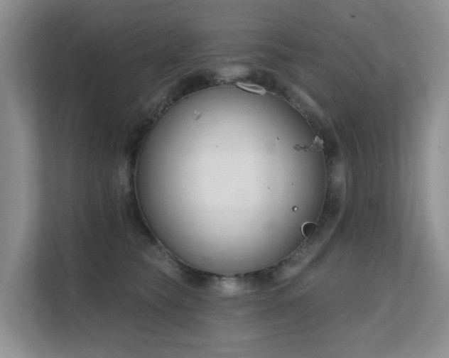 X0000111620565200907171246