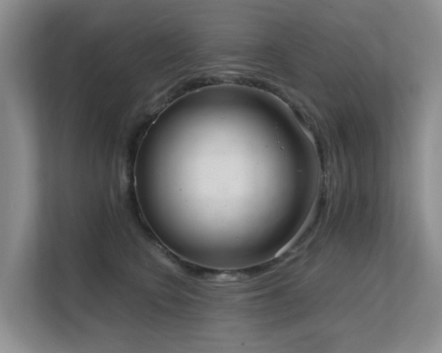 X0000111620566200907171246