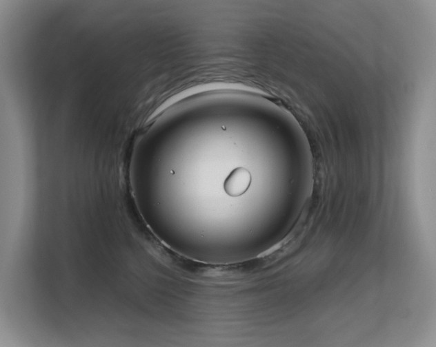 X0000111620568200907171246