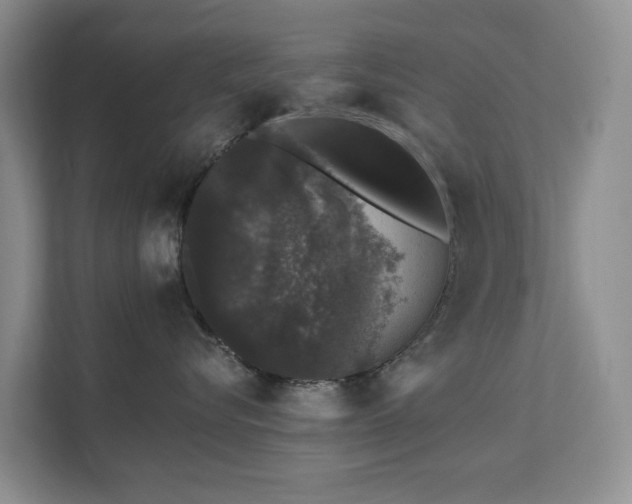 X0000111620576200907171246