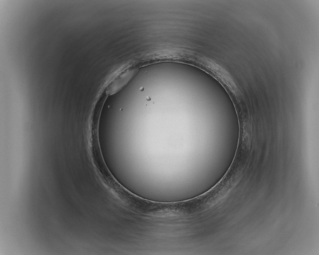 X0000111620578200907171246