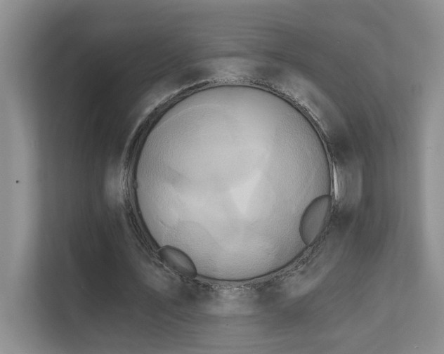 X0000111620579200907171246