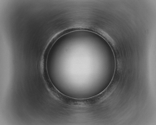 X0000111620580200907171246