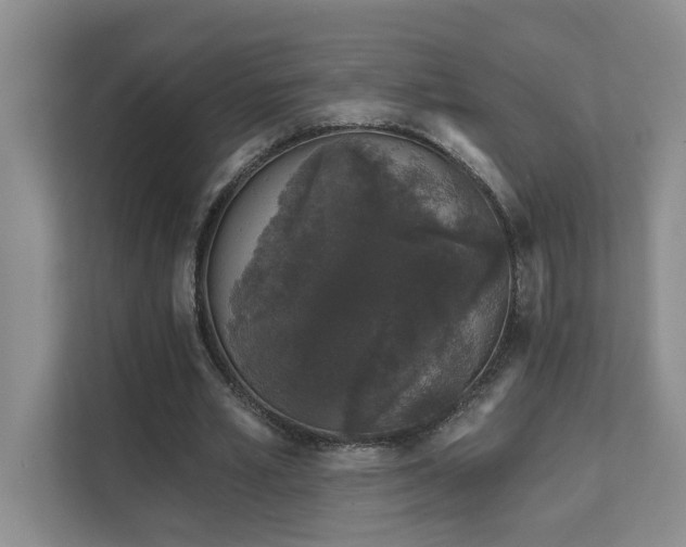 X0000111620581200907171246