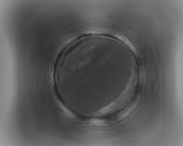 X0000111620585200907171246