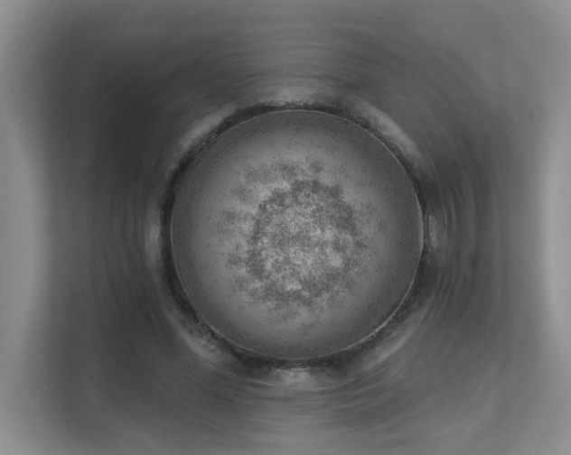 X0000111620588200907171246