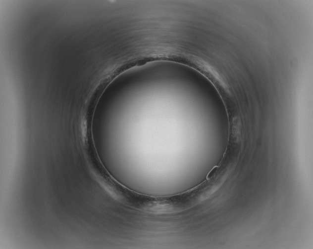 X0000111620589200907171246
