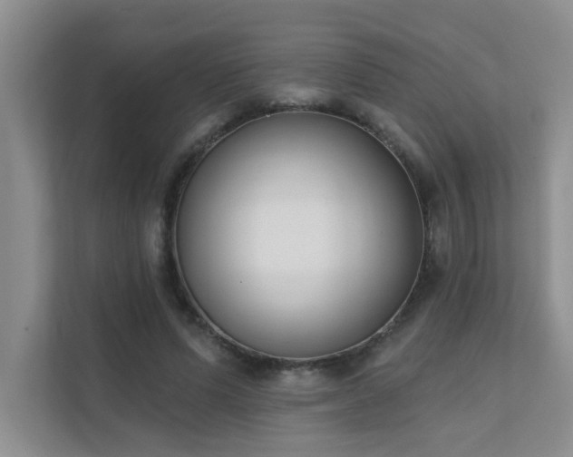 X0000111620591200907171246