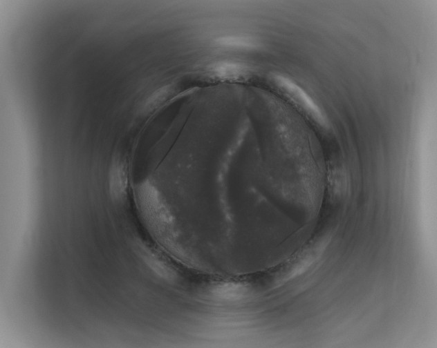 X0000111620593200907171246
