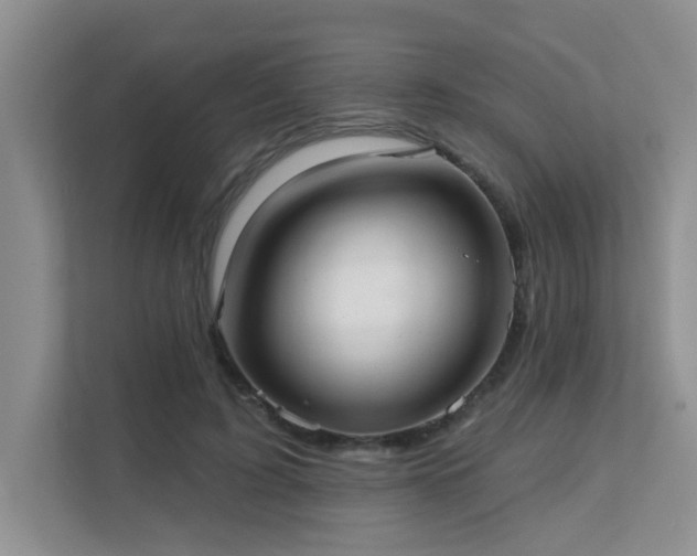 X0000111620595200907171246