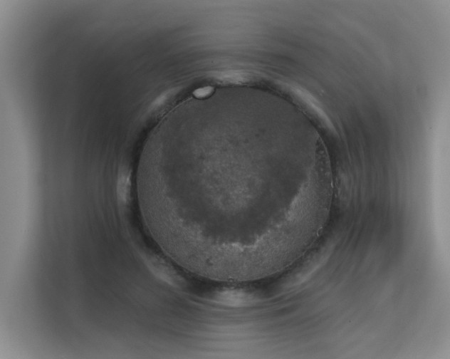 X0000111620596200907171245