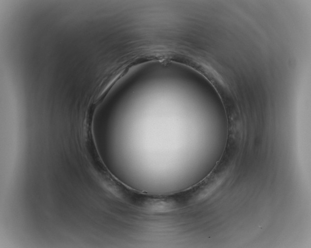 X0000111620597200907171245