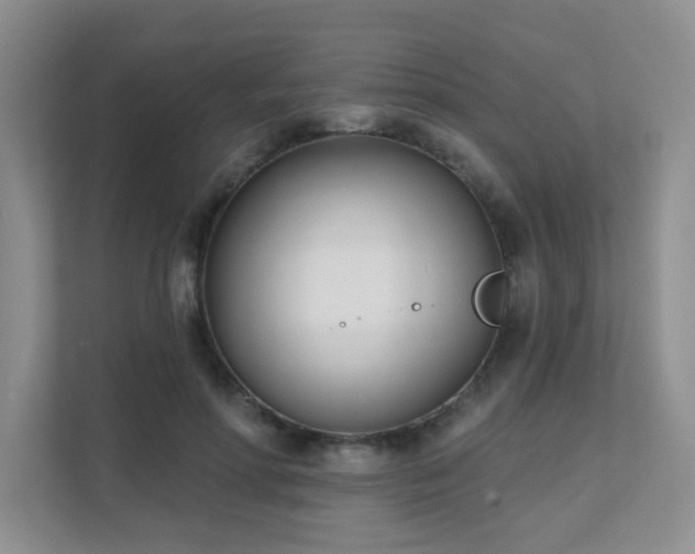 X0000111620598200907171245