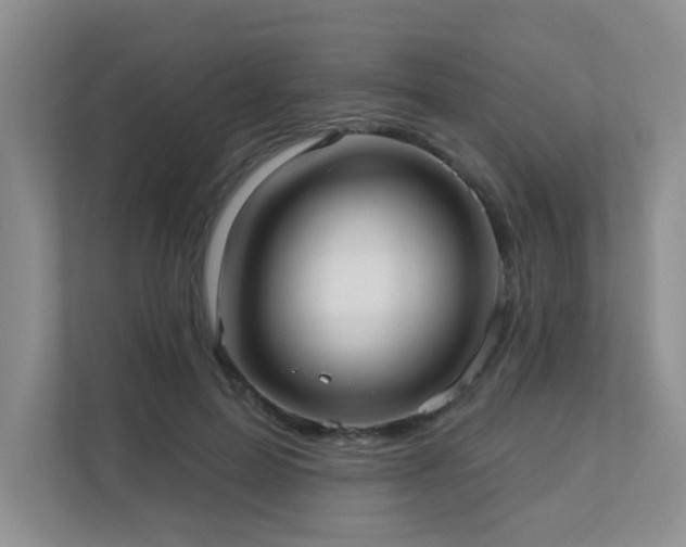 X0000111620599200907171245