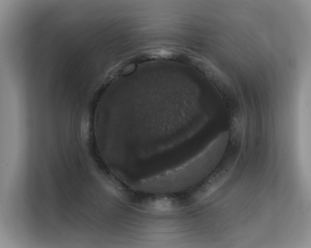 X0000111620600200907171245