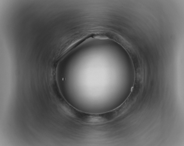 X0000111620605200907171245