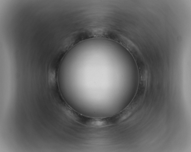 X0000111620610200907171245