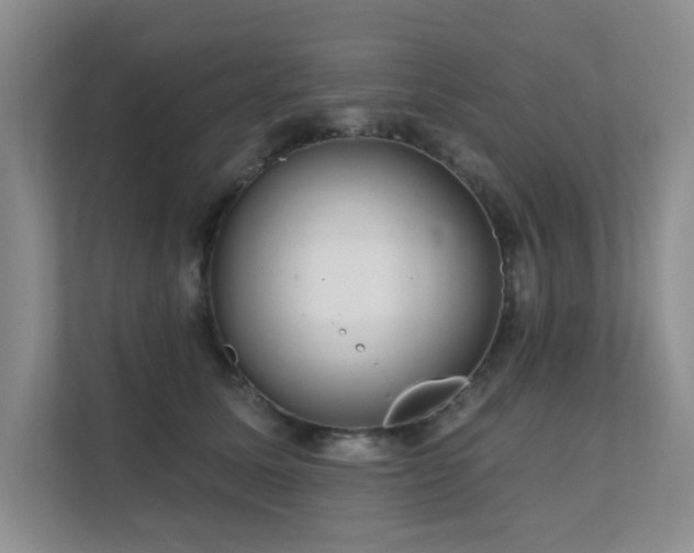 X0000111620611200907171245