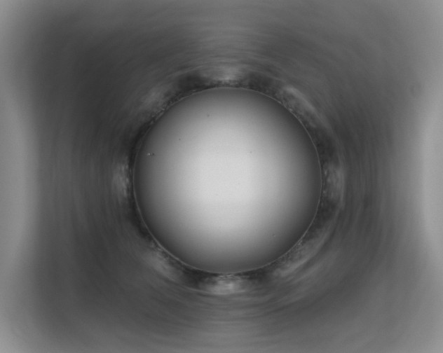 X0000111620612200907171245