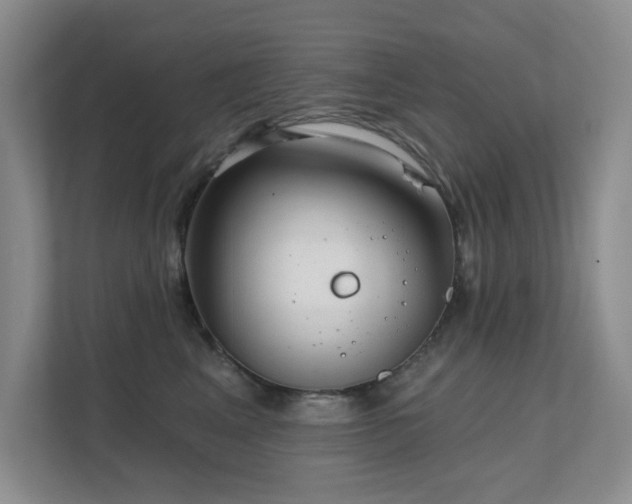 X0000111620617200907171245