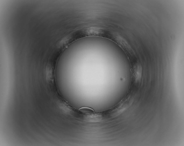 X0000111620619200907171245
