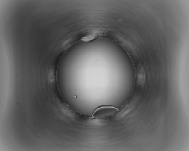 X0000111620620200907171245