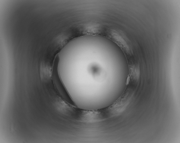 X0000111620621200907171245