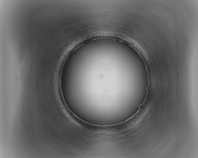 X0000111620625200907171245