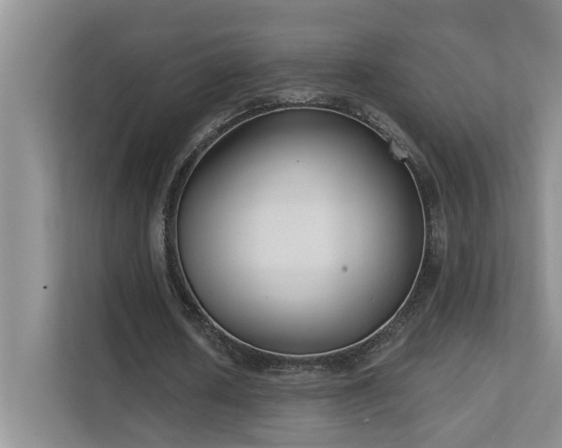 X0000111620626200907171245