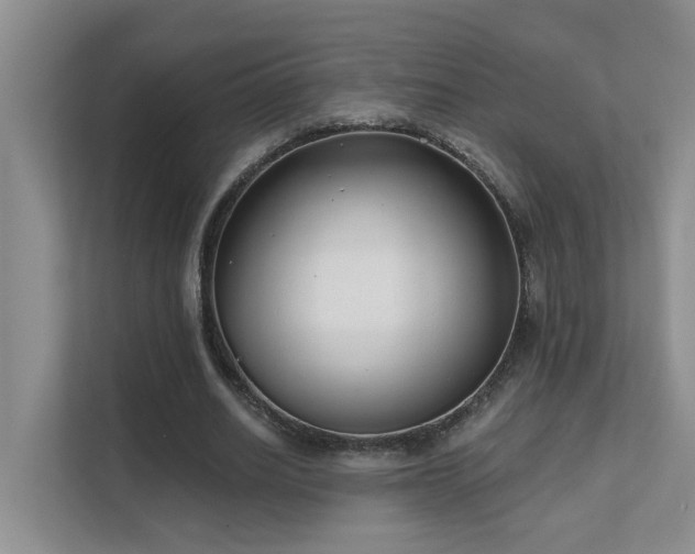 X0000111620630200907171245