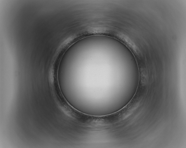 X0000111620631200907171245