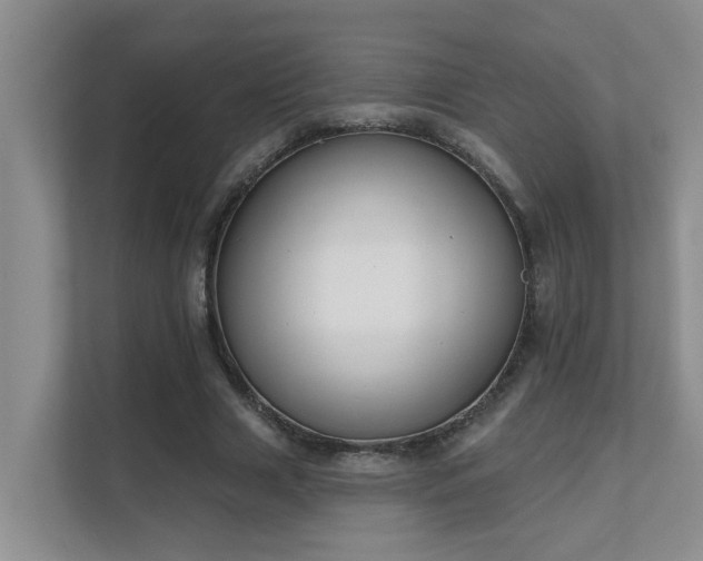 X0000111620633200907171245