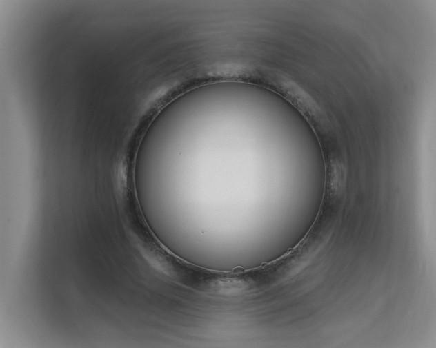X0000111620636200907171245