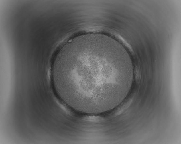 X0000111620637200907171245