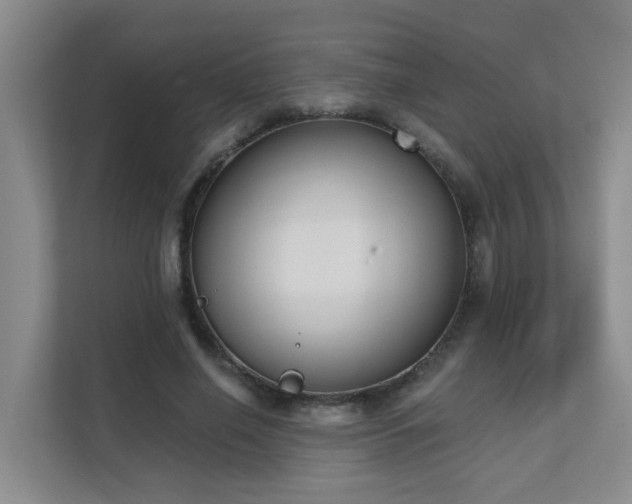 X0000111620638200907171245