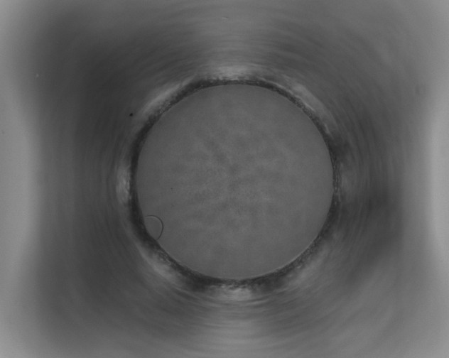 X0000111620640200907171245