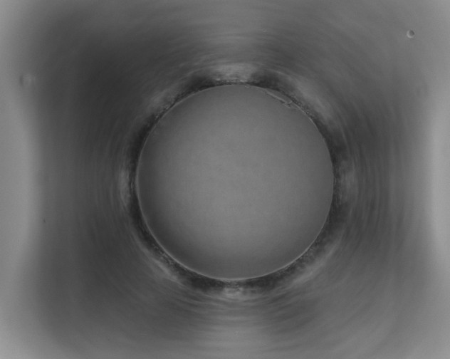 X0000111620641200907171245