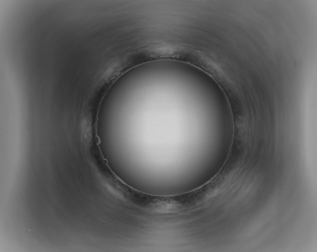 X0000111620642200907171245