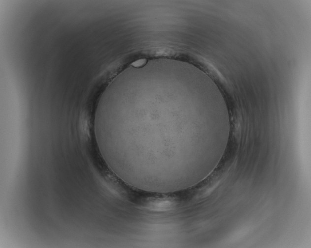 X0000111620643200907171245
