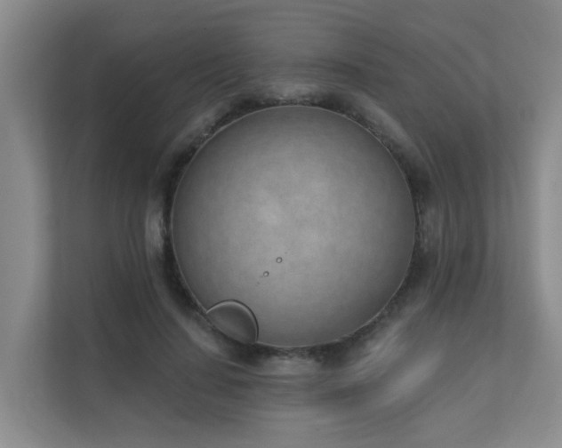 X0000111620644200907171245