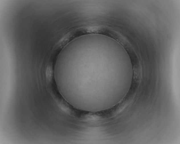 X0000111620648200907171245