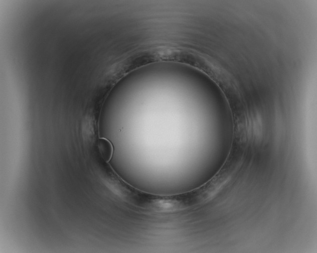 X0000111620654200907171245